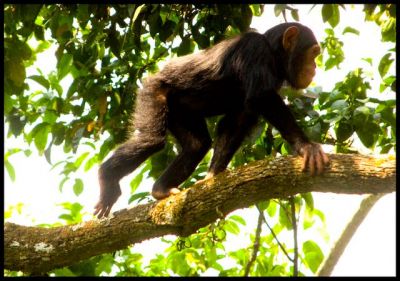 Discover Burundi Tour>Holiday Packages Burundi~7days