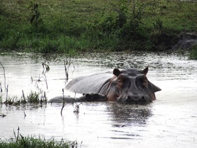 Ngorongoro crater special>short tours to Ngorongoro-2 nights
