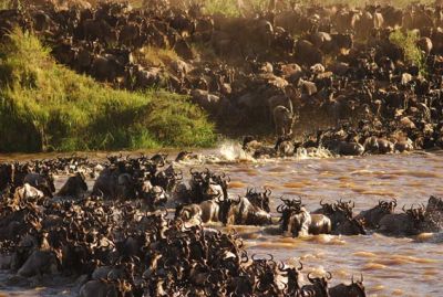 9 Days Tanzania Safari Tour~Tour to Tanzania